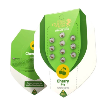 Samen Cherry Pie automatik Royalqueenseeds